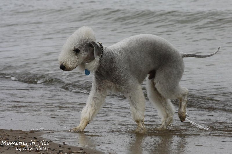 2010-06-26 Arc-en-ciel Arlequin (11).jpg